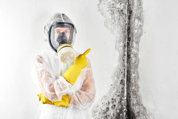 Matheny, CA Water damage restoration Company